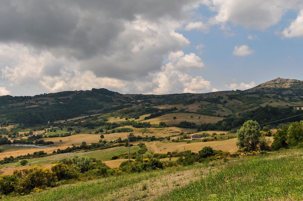 Laghetto Pesca Sportiva I Ginestreti