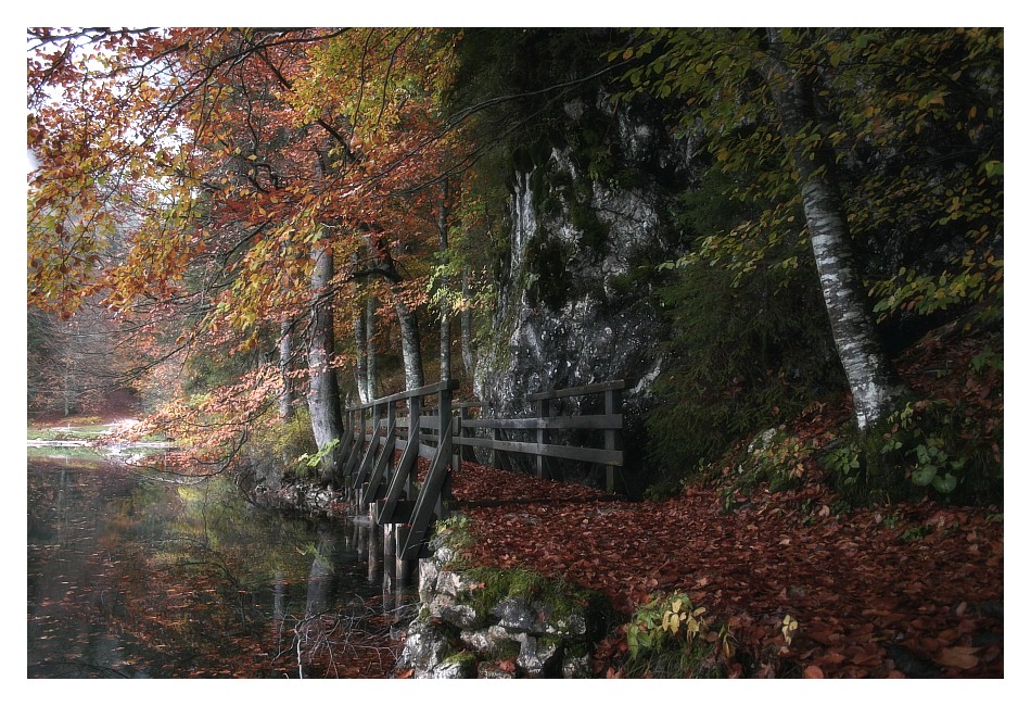 Laghi di Fusine .4