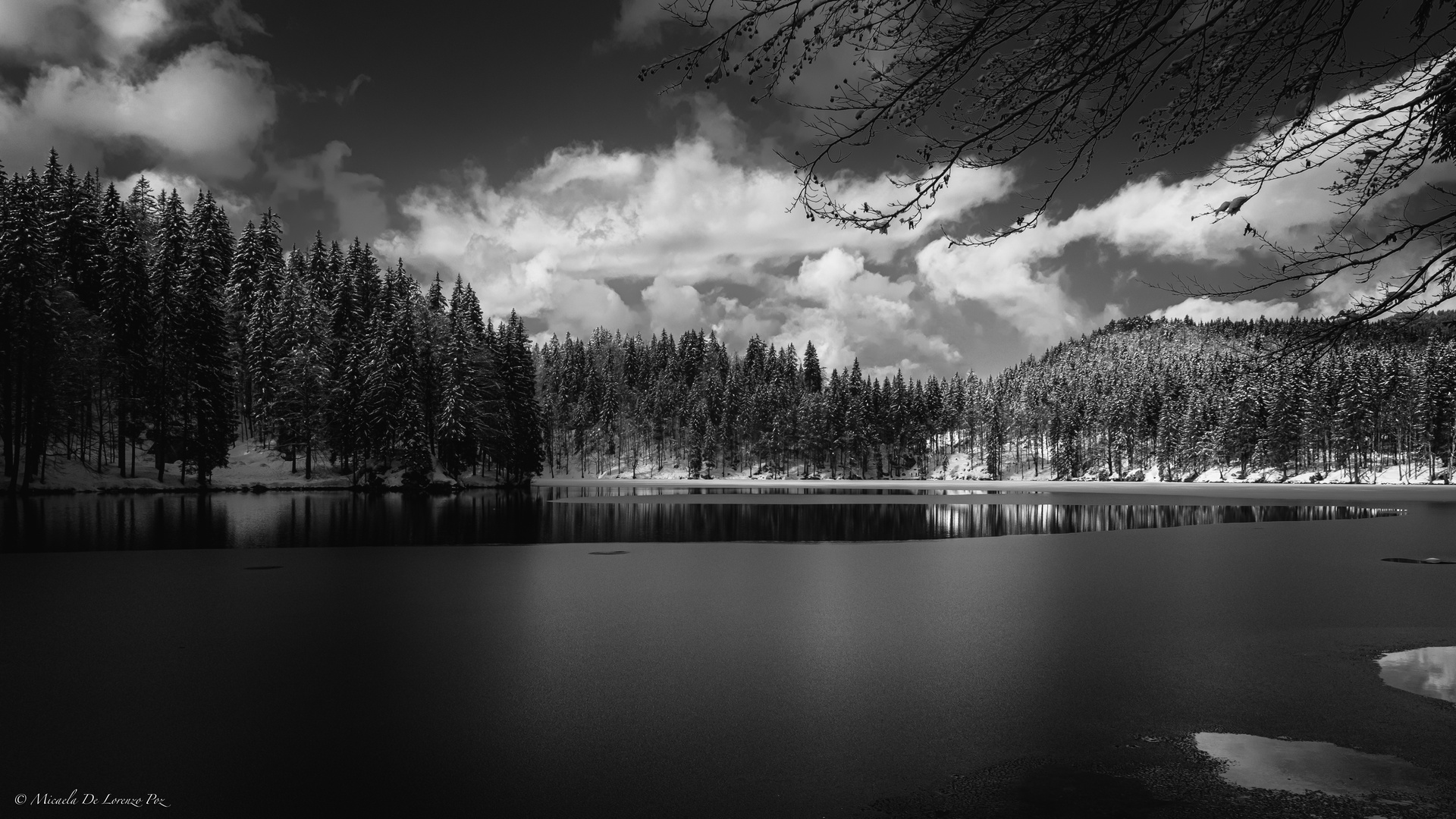 Laghi Di Fusine in b/w, Friuli Venezia Giulia, Italia