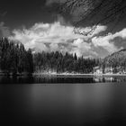 Laghi Di Fusine in b/w, Friuli Venezia Giulia, Italia