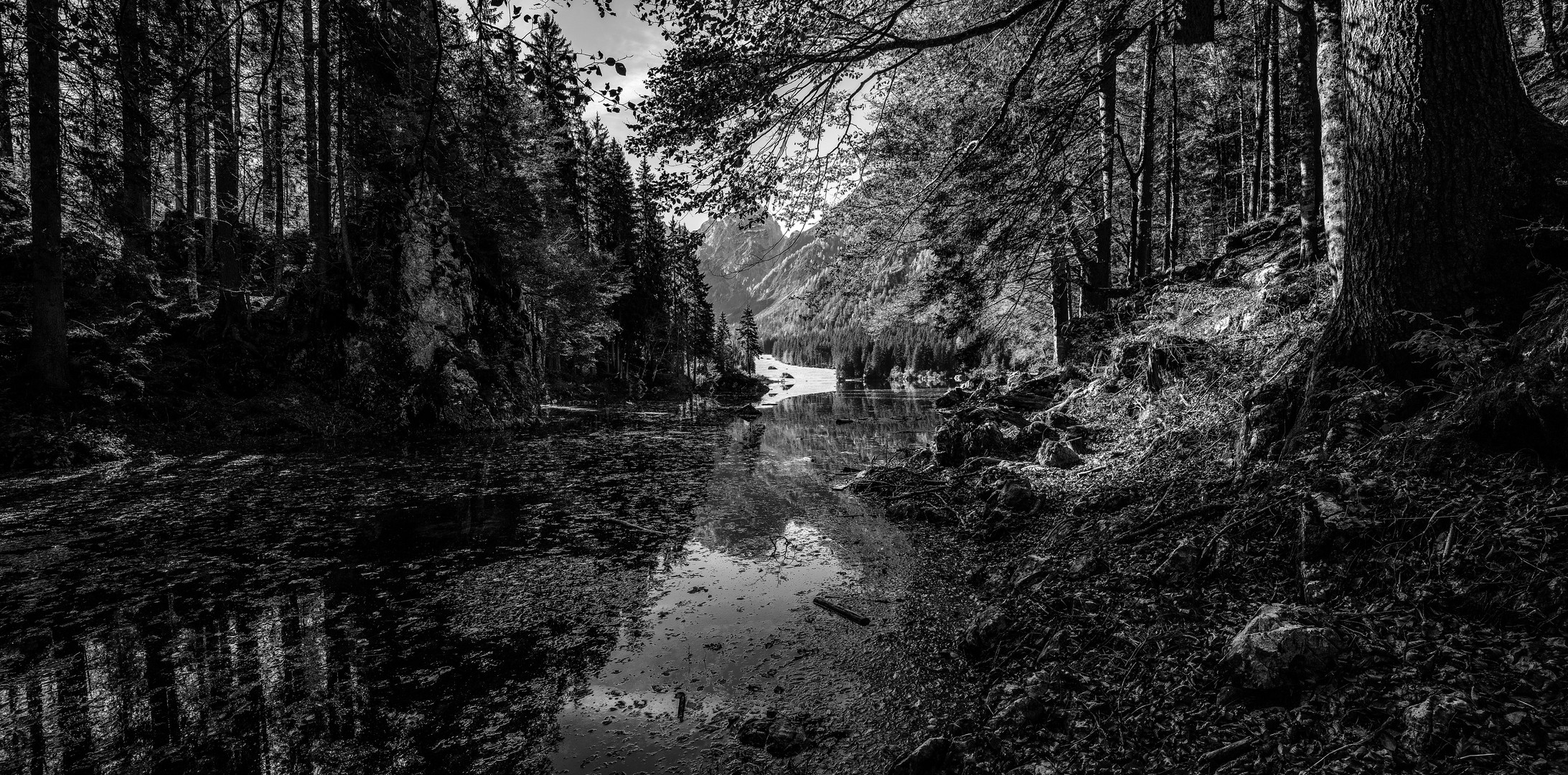 laghi di fusine panorama 2 b&w