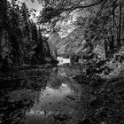 laghi di fusine panorama 2 b&w