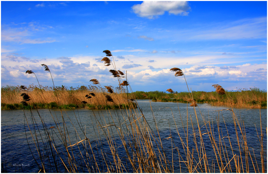 Laghi di Mantova