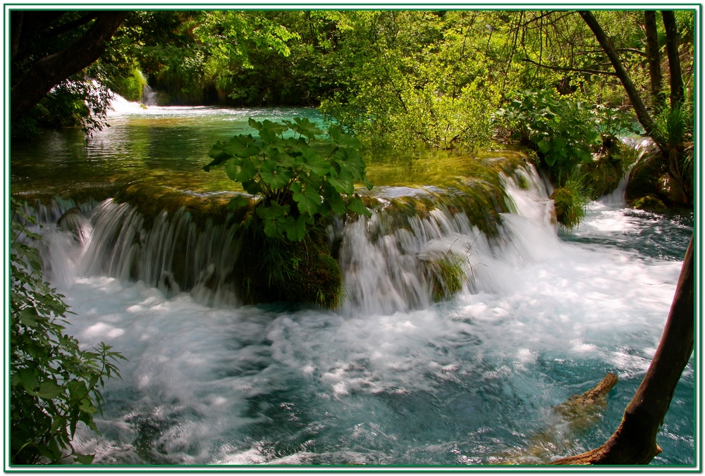 Laghi di Plitvice.