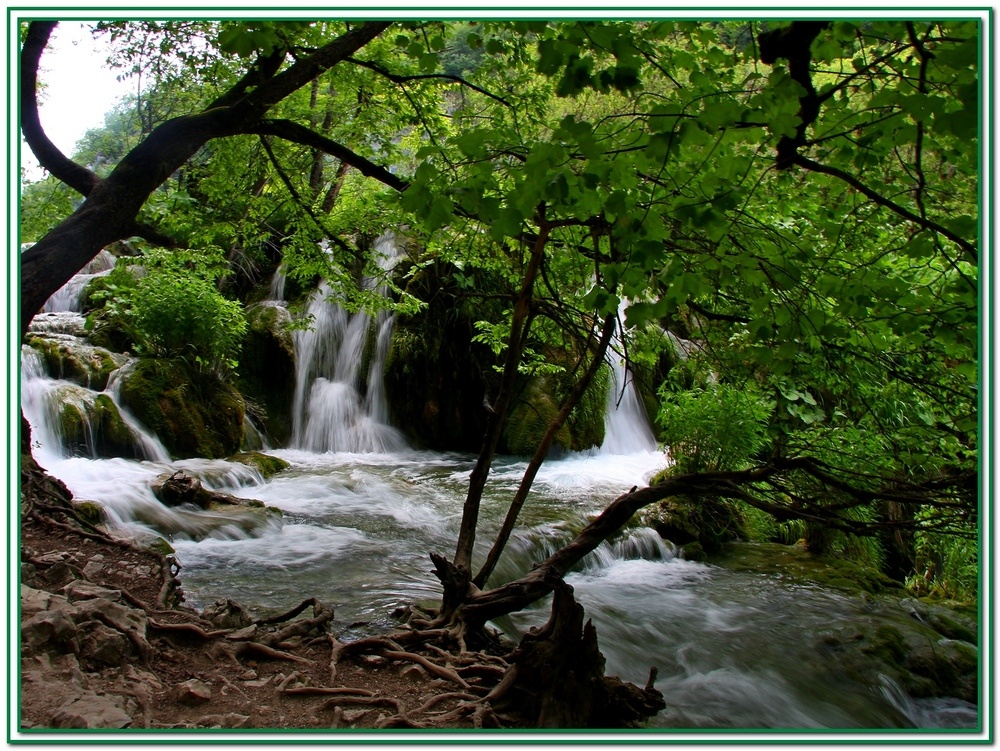 Laghi di Plitvice.