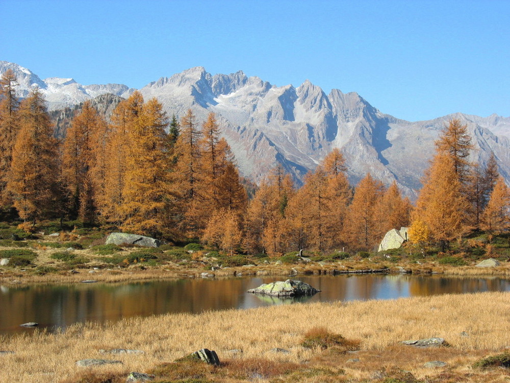 Laghi di S.Giuliano (Parco Adamello-Brenta)