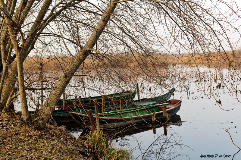 laghi mantova a gennaio