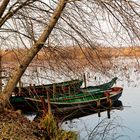 laghi mantova a gennaio