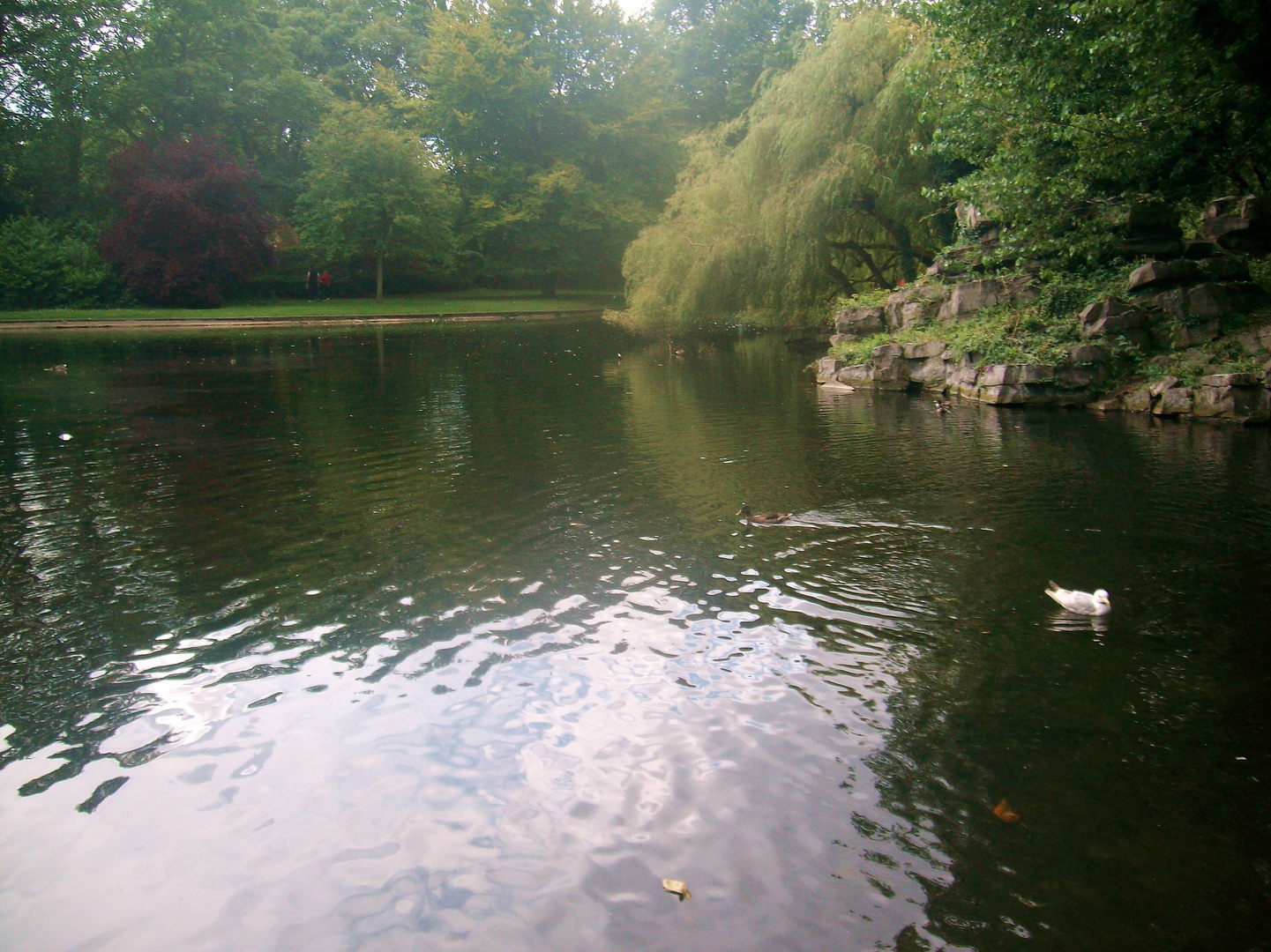 Lago a Dublino.