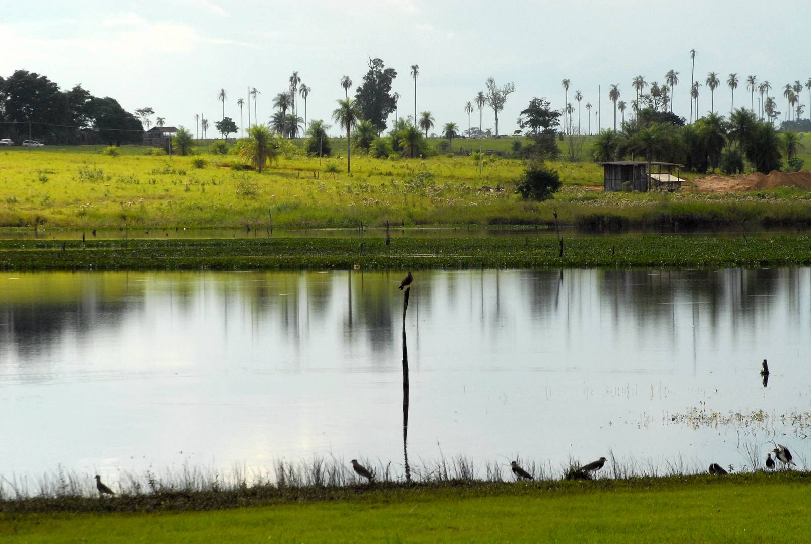 Lago Acaray