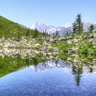 Lago Afframont 1986 m.