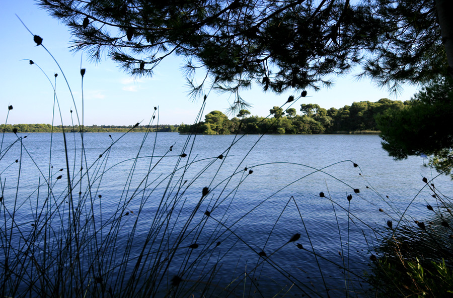 Lago Alimini