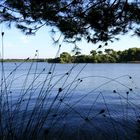 Lago Alimini