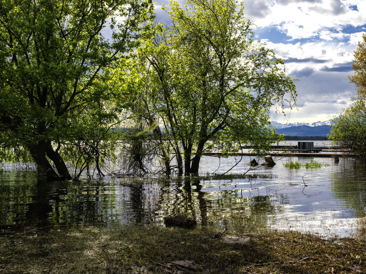 Lago alto