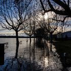 Lago alto a Gavirate