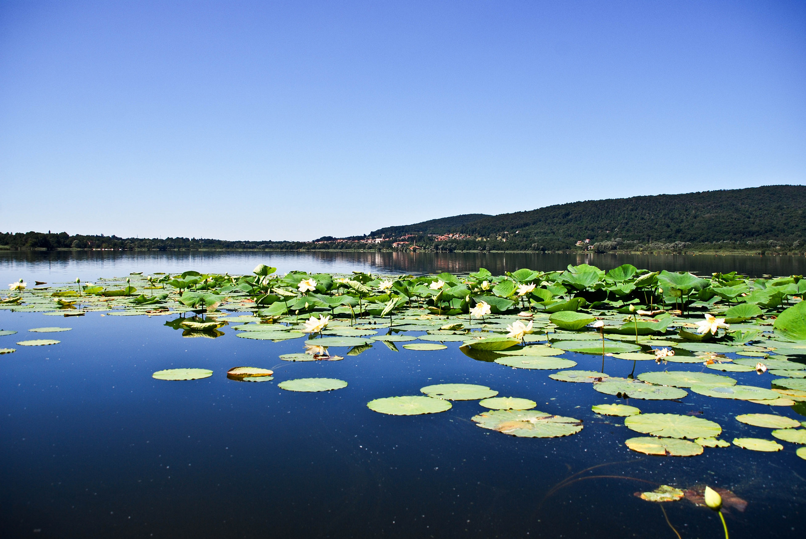 lago, amore mio