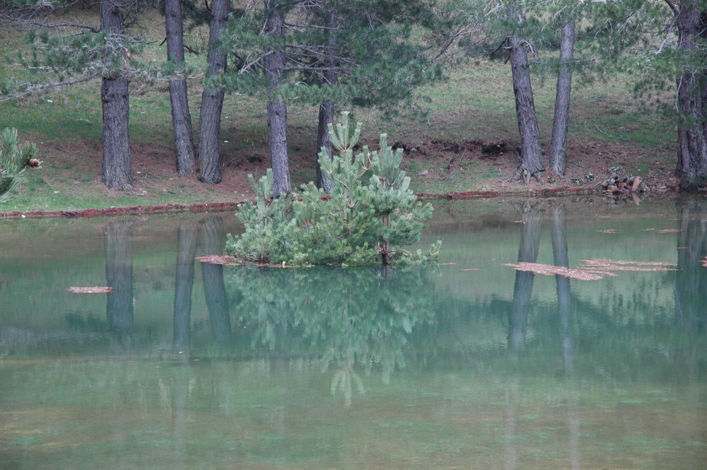 Lago Ampollino Sila Piccola