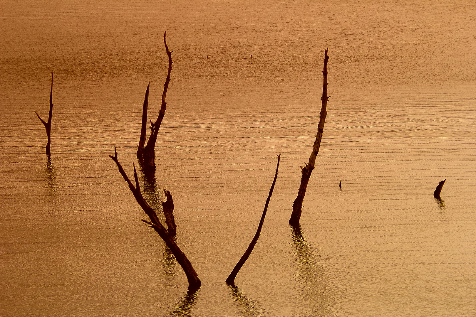 Lago Angitola