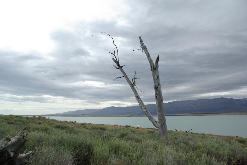 Lago Argentino