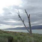 Lago Argentino