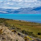 Lago Argentino (argentinische Impressionen)