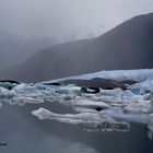 Lago Argentino II