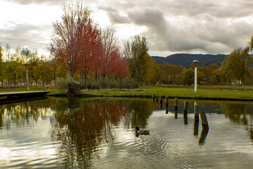 Lago Bagnoles, un rincón de colores.