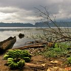 Lago Barombi Mbo