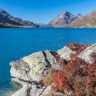 Lago Bianco