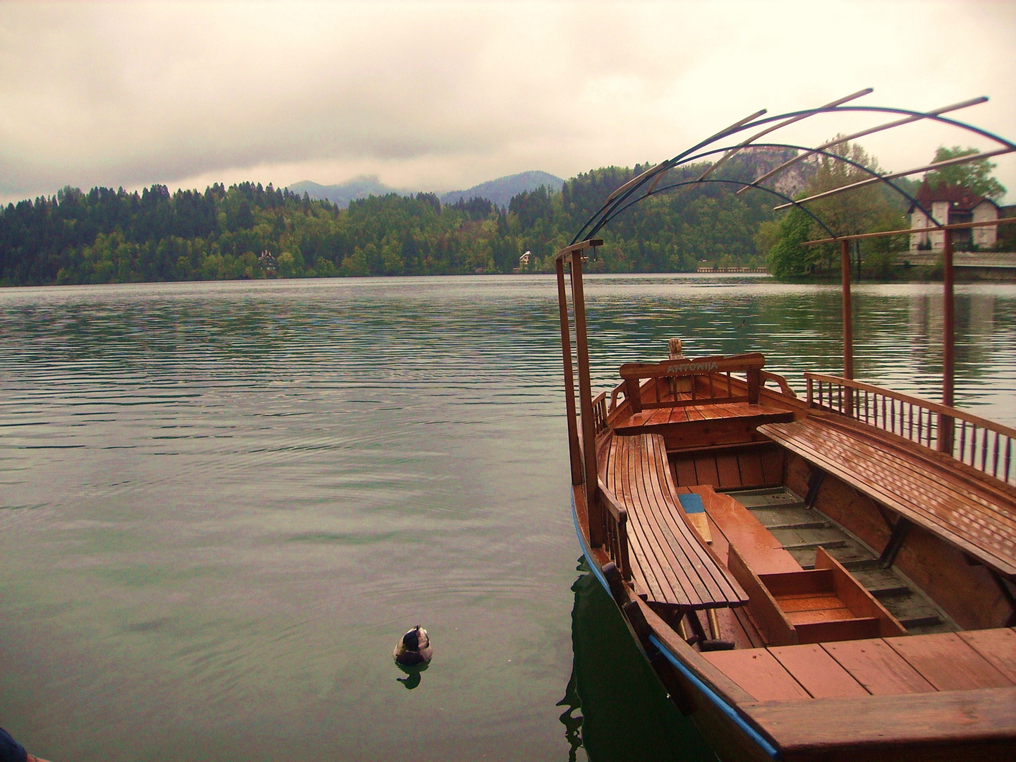 lago bled-sLOVEnia