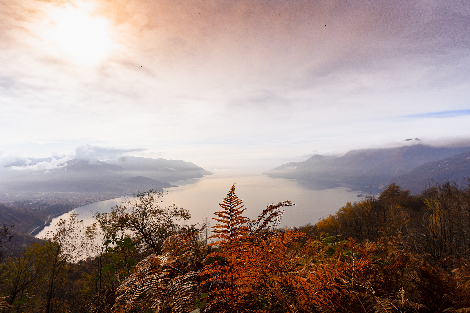 Lago Blick mit Farn