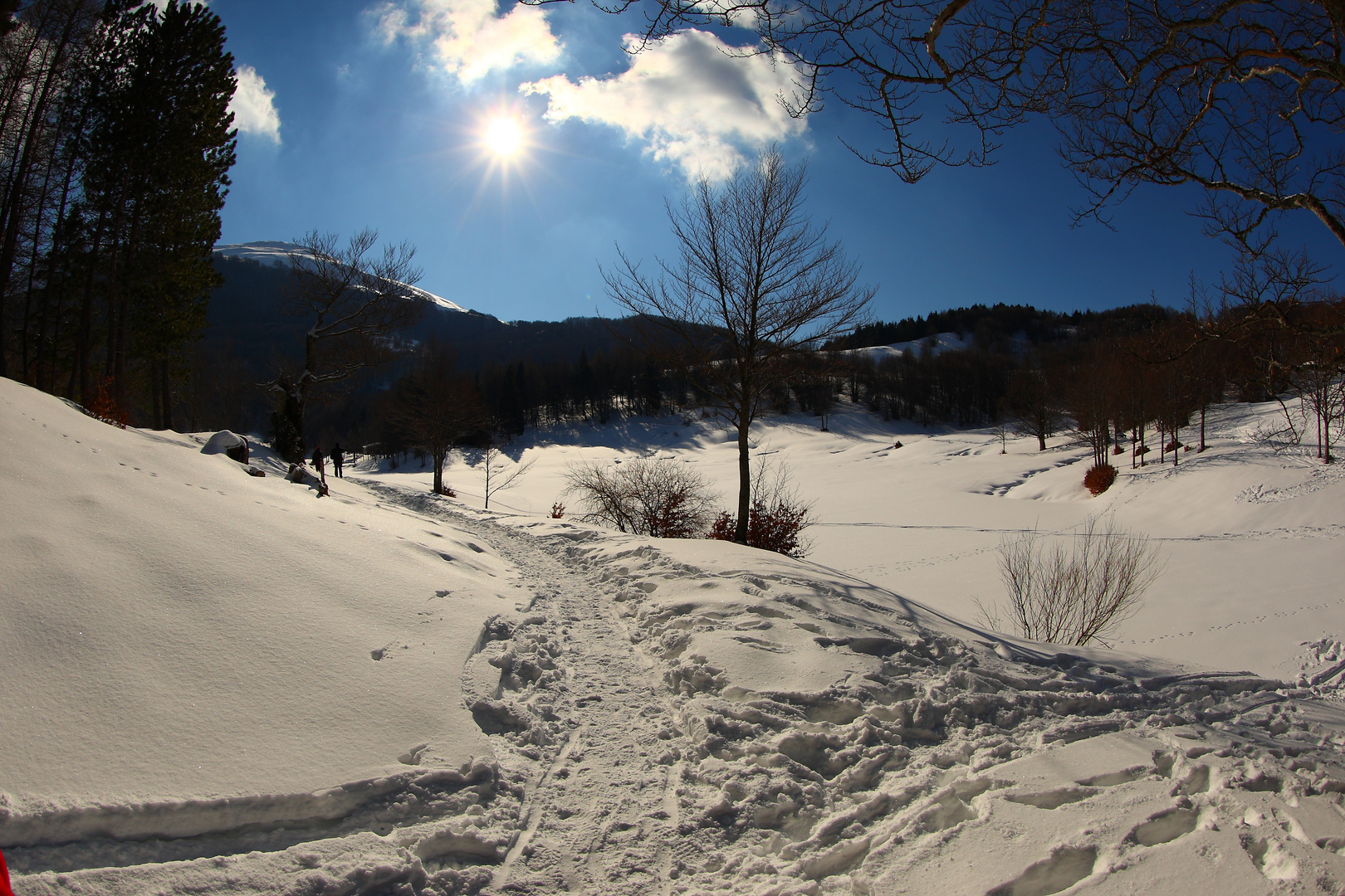 Lago Calamone