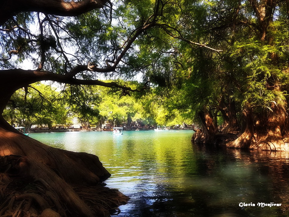 Lago Camécuaro