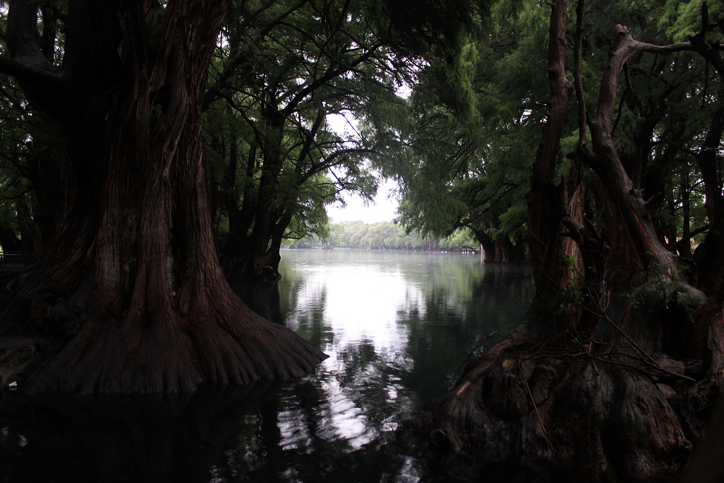 Lago Camécuaro, Michoacán