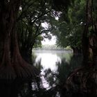 Lago Camécuaro, Michoacán