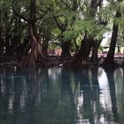 Lago Camécuaro, Michoacán