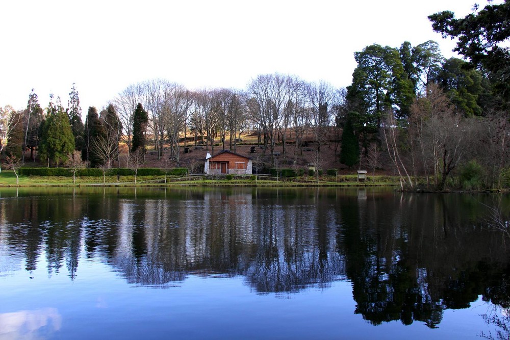 Lago Castiñeiras