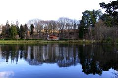 Lago Castiñeiras