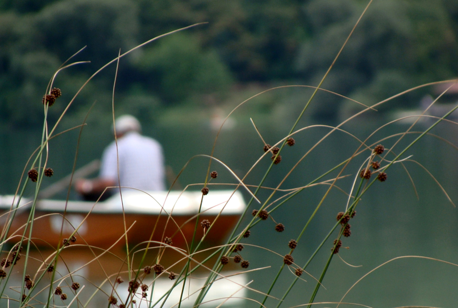 Lago Cavazzo