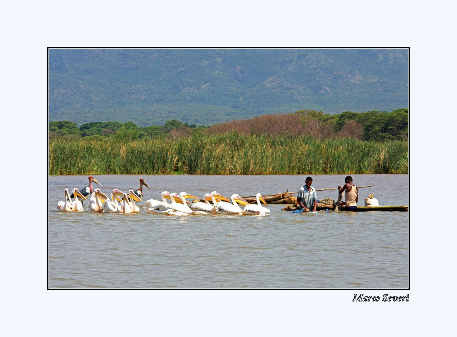 lago Chamo