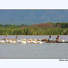 lago Chamo