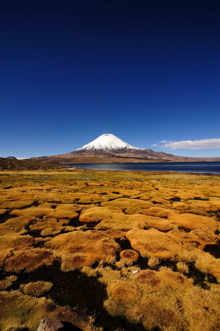 Lago Chungara (2)