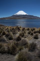 [ … Lago Chungara ]