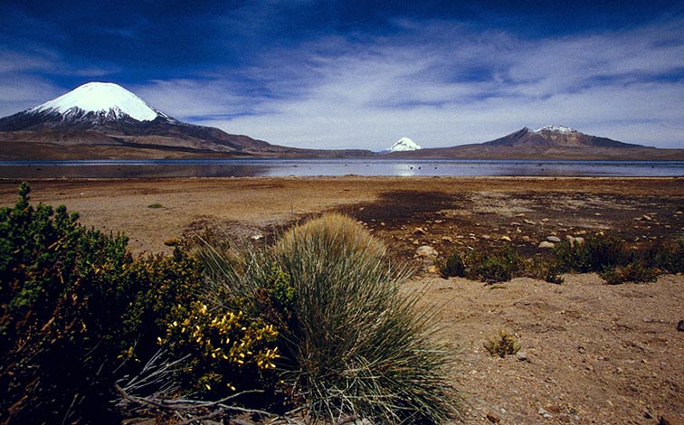 Lago Chungara