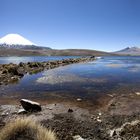 Lago Chungará