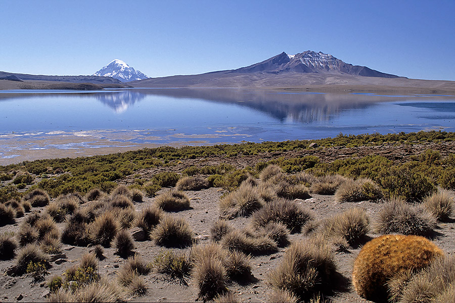 Lago Chungará