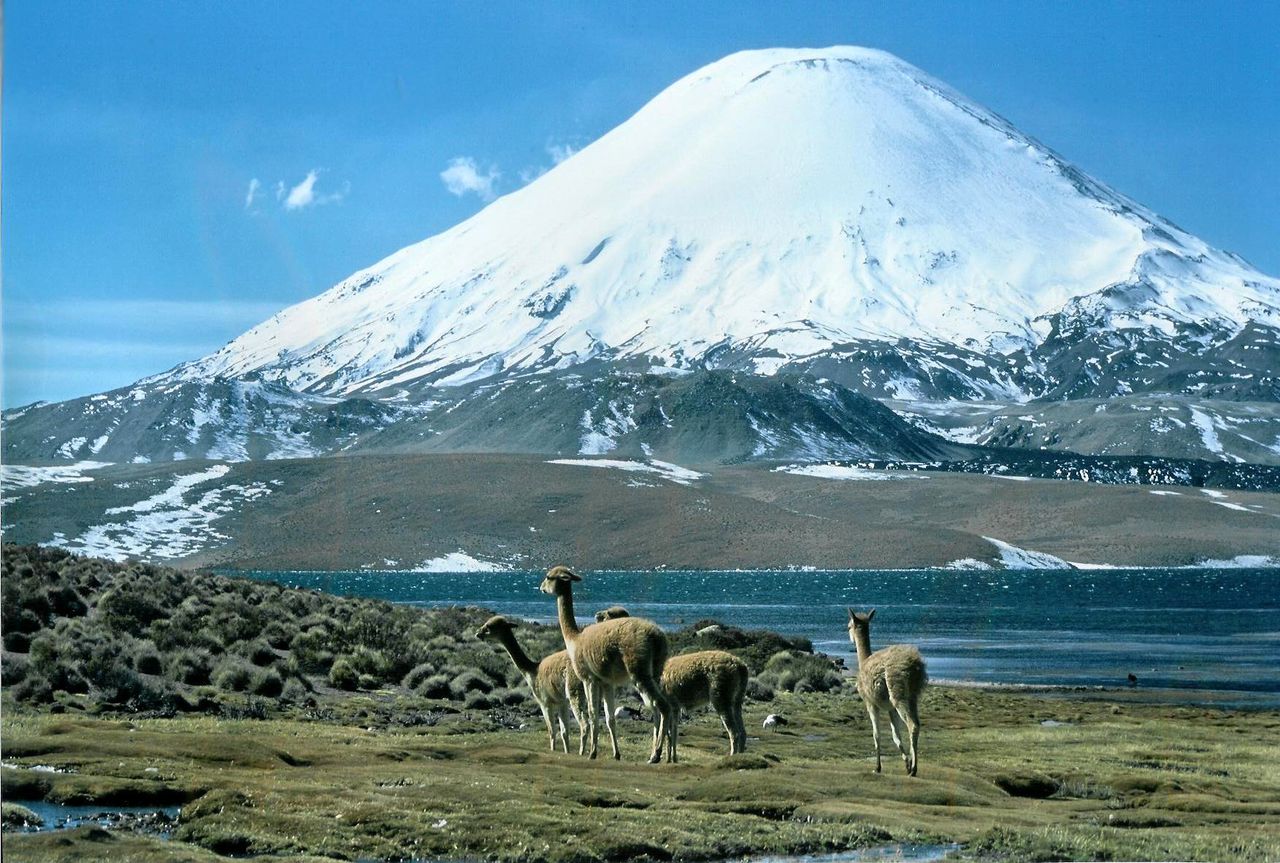 Lago Chungará en el parque nacional Lauca.