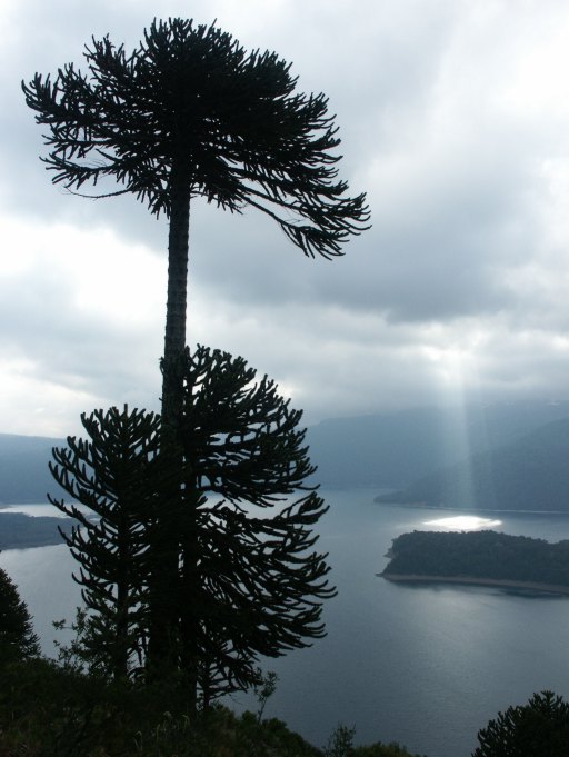 Lago Conguillo