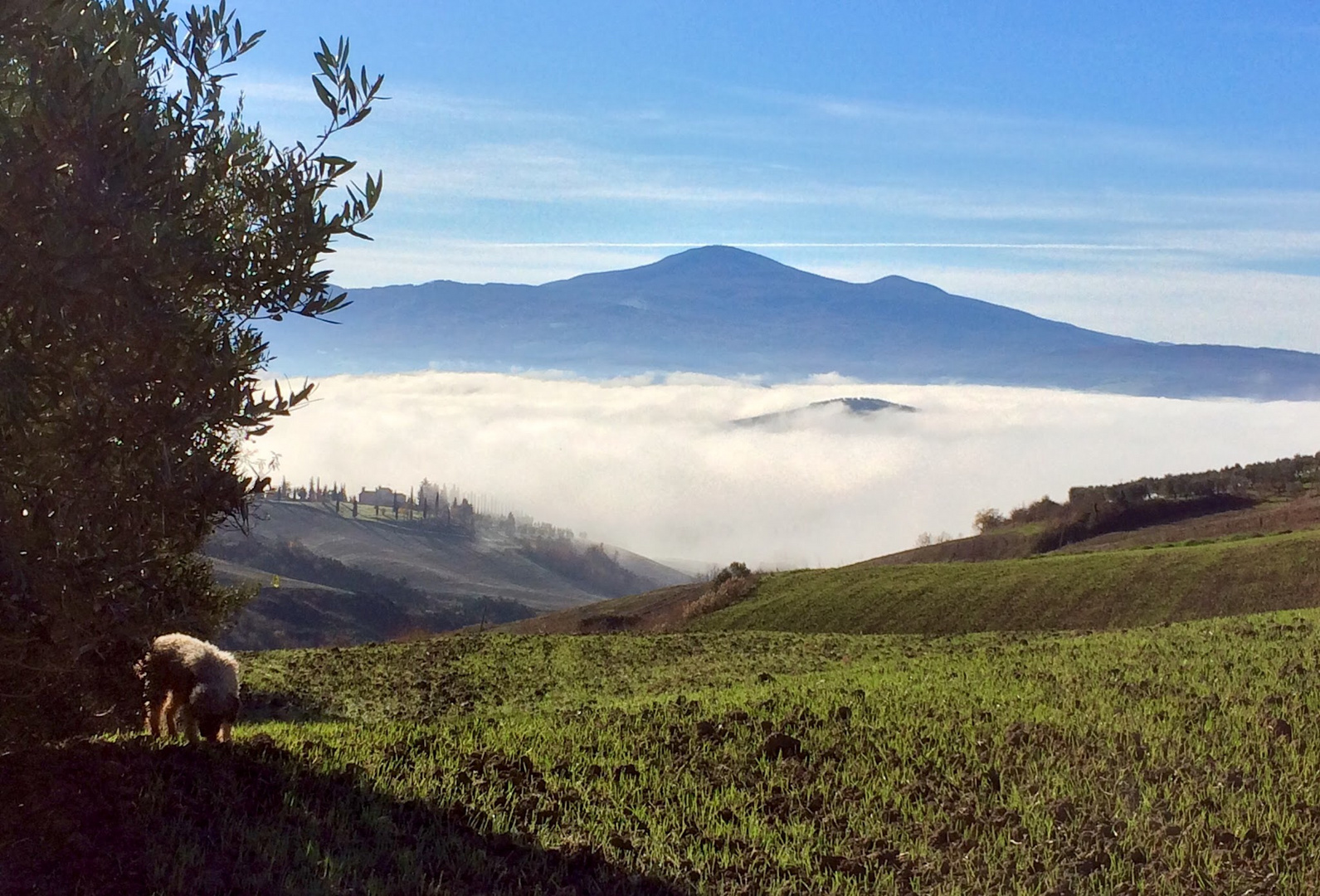 Lago dì nebbia