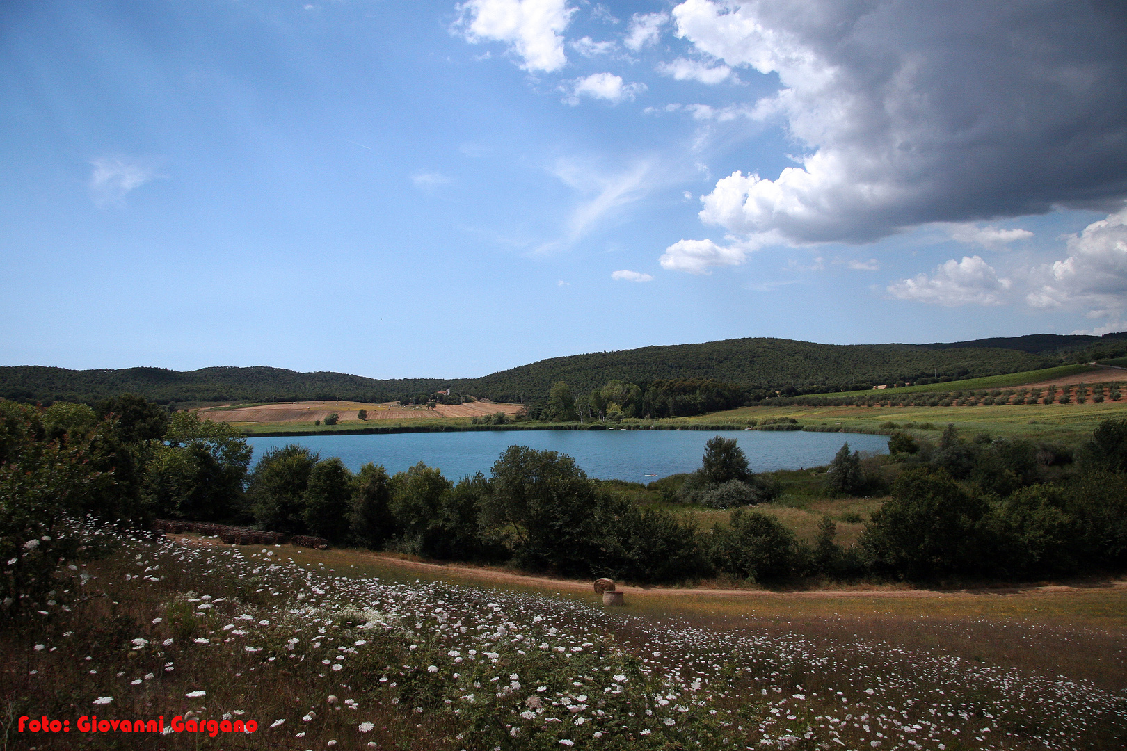 Lago D'accesa (Massa Marittima)